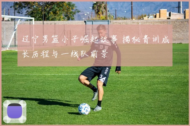 辽宁男篮小子崛起故事 揭秘青训成长历程与一线队前景