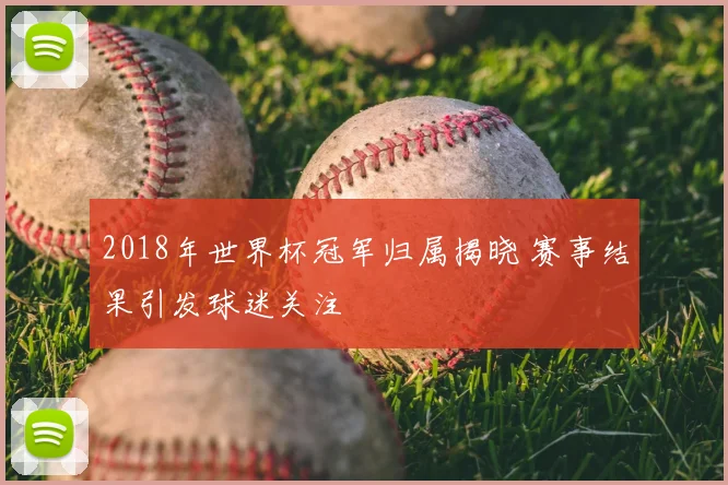 2018年世界杯冠军归属揭晓 赛事结果引发球迷关注