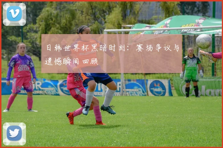 日韩世界杯黑暗时刻：赛场争议与遗憾瞬间回顾