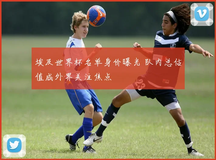埃及世界杯名单身价曝光 队内总估值成外界关注焦点